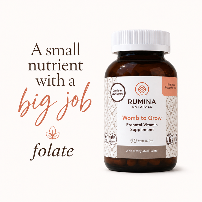 Methylated Folate - the upgrade every pregnant woman needs to know about