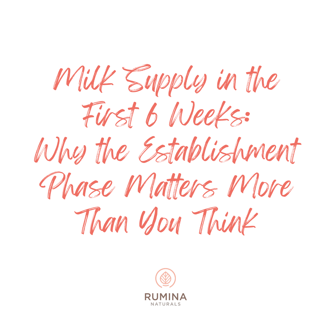 Milk Supply in the First 6 Weeks: Why the Establishment Phase Matters More Than You Think